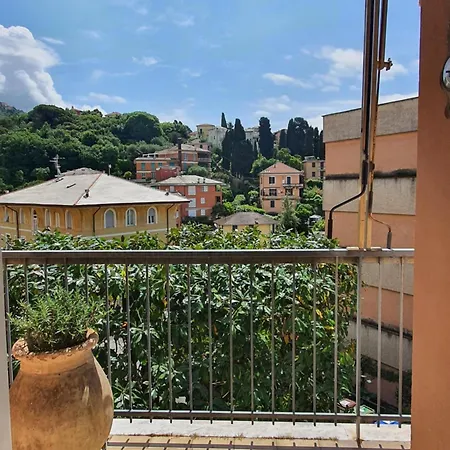 Casa Lalli * 라팔로